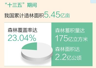 我国森林面积和森林蓄积量连续30年保持双增长