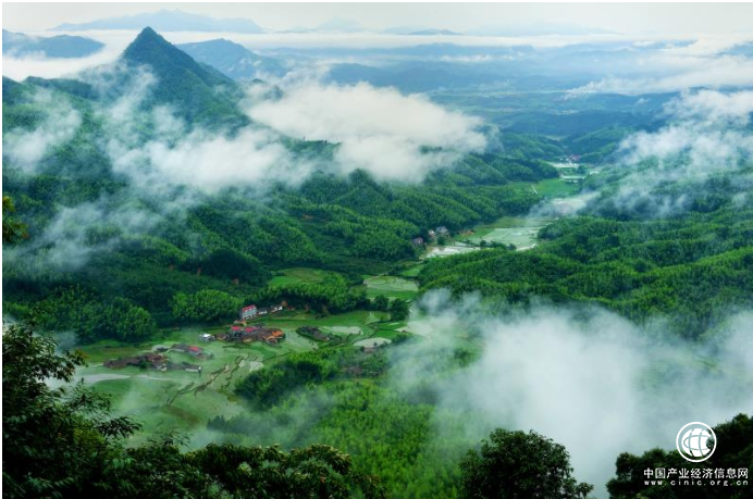 (资溪县高阜林场五里山村全景)