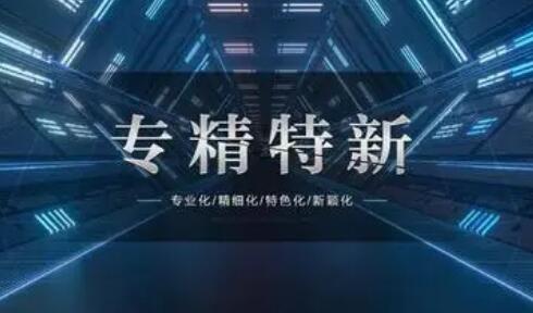 破解四大难题 推进专精特新企业健康发展