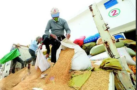 黑龙江省中晚稻最低收购价同比每吨上调20元