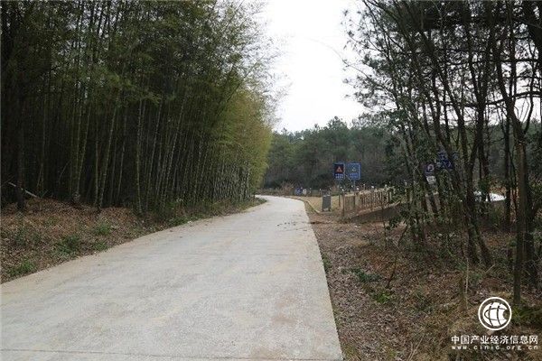 图为江山市烟草专卖局参与改建的村路 周育梅 摄为全面落实乡村振兴