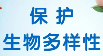 最高法发布《中国生物多样性司法保护》报告  用最严密法治保护生物多样性