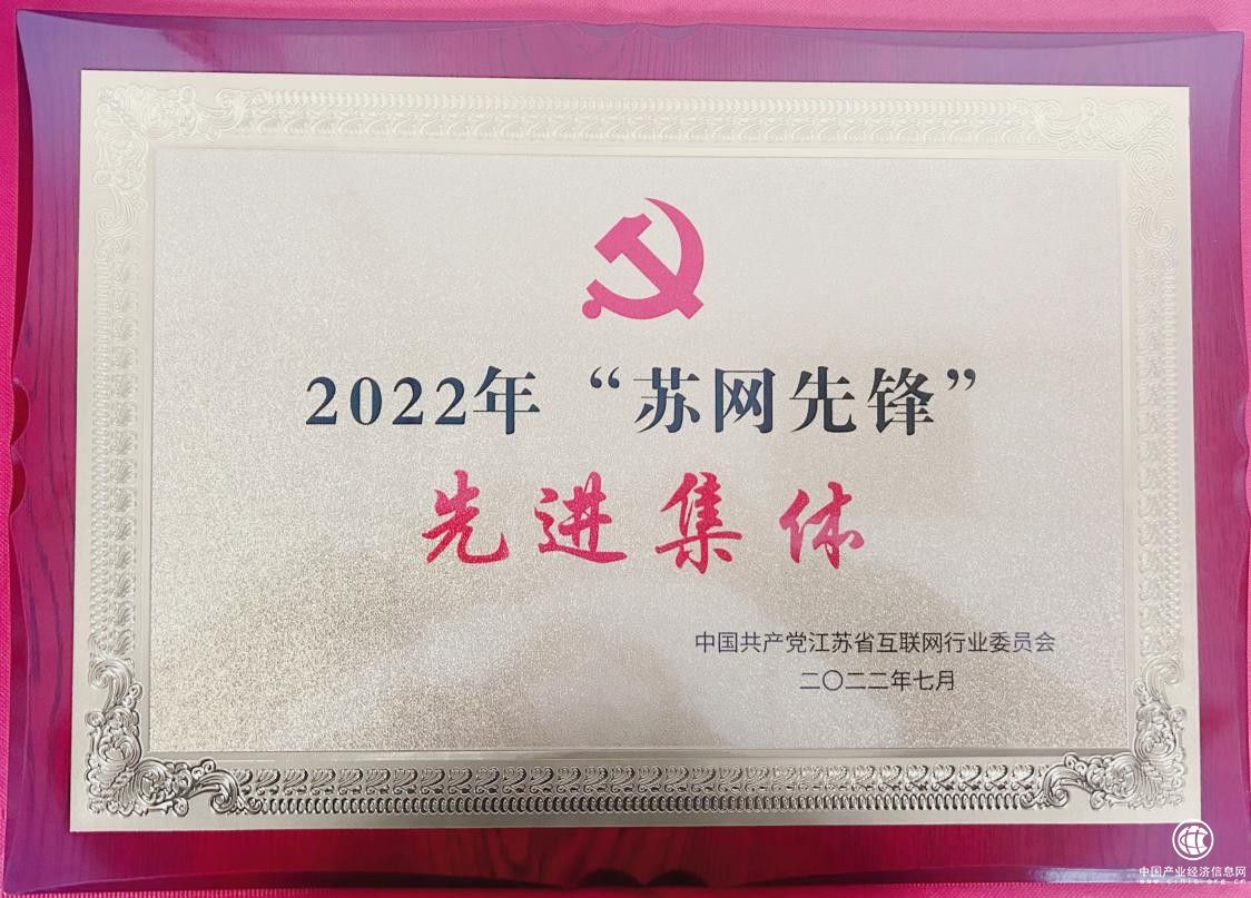 华云数据党支部荣获2022年“苏网先锋”先进集体