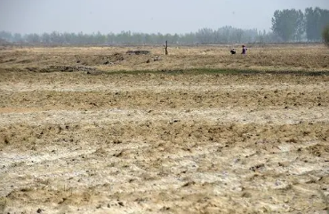 综合施策治理耕地盐碱化 8省份试点项目3年实施面积240万亩次