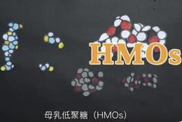 《母乳低聚糖（HMOs）的科学共识》发布 迈出产业化重要一步