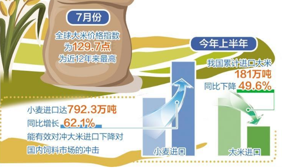 国际米价高企对我国影响有限