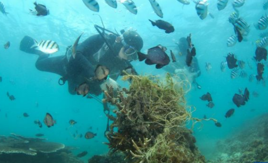 以法治力量守护碧海蓝天、洁净沙滩——解读新修订的海洋环境保护法新亮点