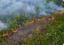 国家森防指办公室、应急管理部发布2023年冬季全国森林草原火险形势预测