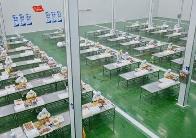 河南省1.3亿“真金白银”助力绿色食品发展