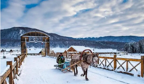 优化供给 打造品牌 发展产业——新疆推动冰雪经济高质量发展综述