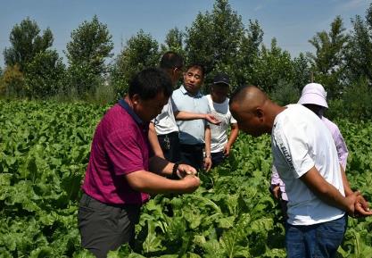 给中国糖料作物发展添砖加瓦——FAO“糖料作物生态安全种植和资源循环利用”技术合作项目回顾