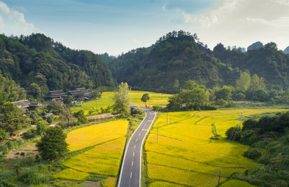 湖南铺就乡村“幸福路”