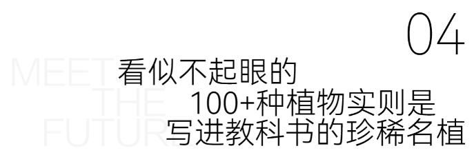 金蝶云大厦丨立序必一运动官网湾芯云享“森林”办公(图6)