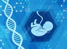 cfDNA综合筛查使胎儿遗传病检出率提高60.7%