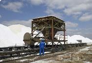 1月份两碱工业盐价格持稳运行