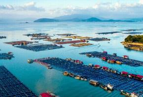 2023年福建省海洋生产总值居全国第三