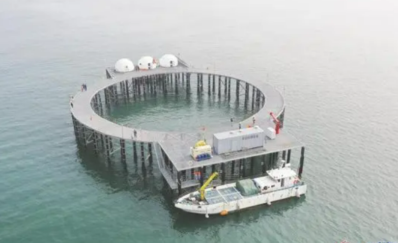 山东海洋集团为海水养殖装上“中国芯”