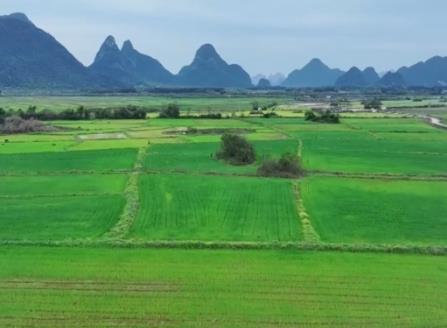 高标准农田建设加速 “科技春耕图”在广袤田野铺展开来