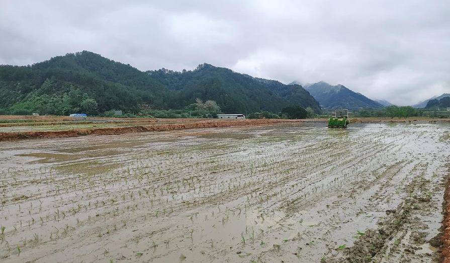 项目建设正当时 中国农发集团为春耕春种注入新动能