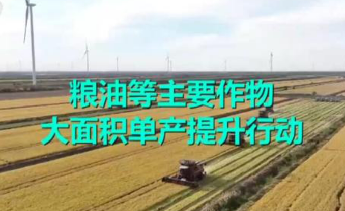 农业农村部制定发布单产提升“一图一册一视频”