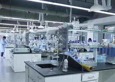 河南：走出实验室的“新质生产力” 开辟未来食品“新赛道”