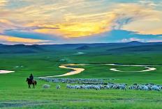 内蒙古草原保险试点面积约3800万亩