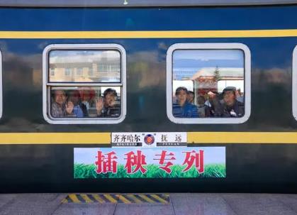 25年来，黑龙江近190万人次搭乘插秧专列——坐着火车去插秧