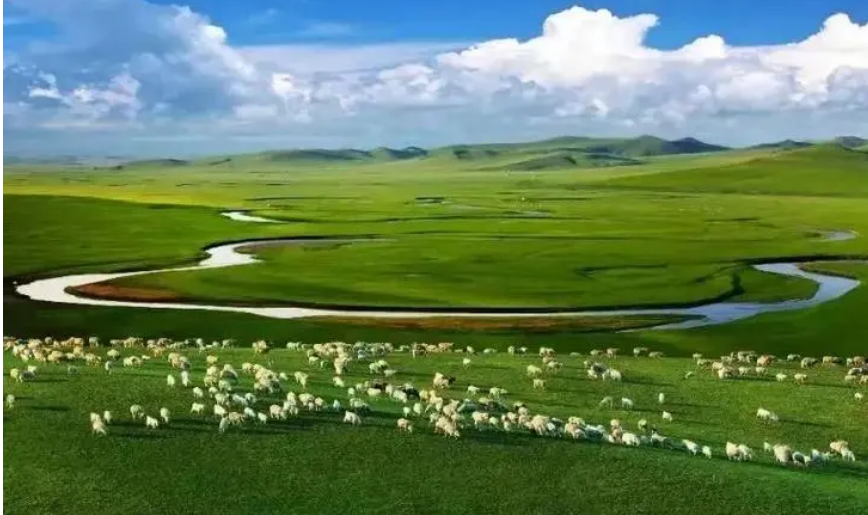 内蒙古鄂托克旗打好治沙攻坚战 保护黄河“几字弯”