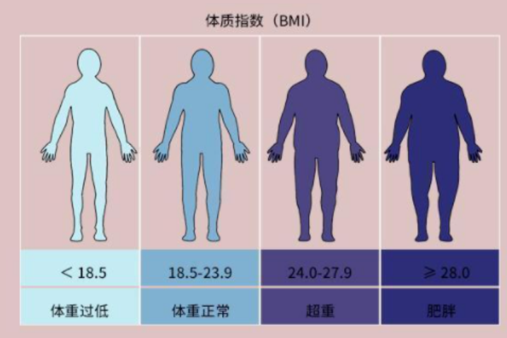 2024年版居民体重管理核心知识发布