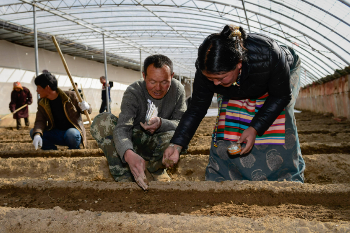 西藏新修订的农牧民享受财政补助优惠政策明白卡将发布