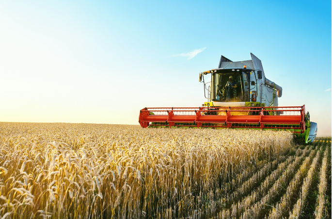 新疆冬小麦大面积单产水平蝉联全国第一