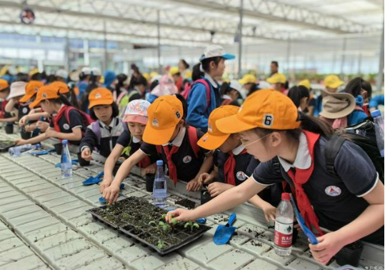 细分赛道里的大市场｜“研学经济”风潮劲