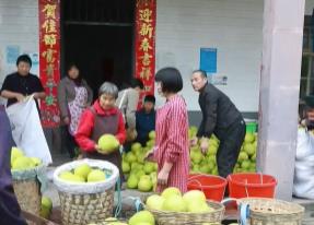 立冬前后也是收获的季节 柚子丰收 鱼肥蟹美