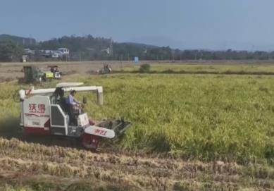 鱼满塘、粮满仓、播种忙 希望的田野“丰”景不断 映照农民红火好日子