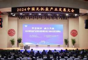 中国无机盐工业协会氰化物分会确定2025年工作计划