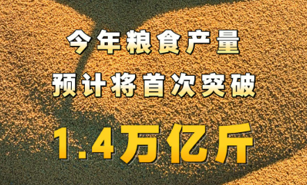 首超1.4万亿斤，沉甸甸的丰收答卷