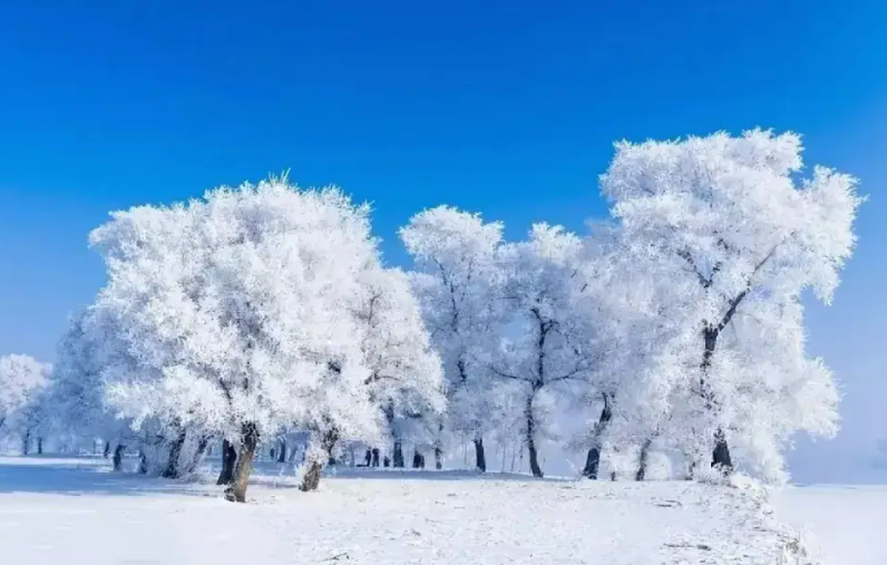 中国气象局与文化和旅游部联合发布10条全国冰雪旅游路线和26个今冬避寒康养好去处