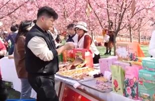 踏青赏花享春光 “春日经济”活力旺