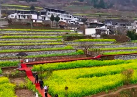 “赏花游”激发各地文旅市场消费热潮 “春日经济”绽放新活力