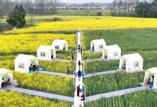 坐飞机赏花、围炉煮茶、花田火锅……花样新场景释放消费新活力