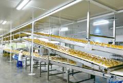 健康化 多样化 数字化 品牌化　我国饼干行业蕴含巨大发展空间