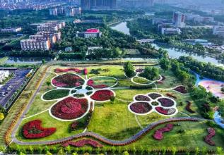 “花木之乡”沭阳，一场持续五年的“诚信实验”