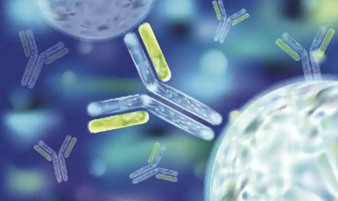 百奥几何：以科学智能实现蛋白质“设计自由”