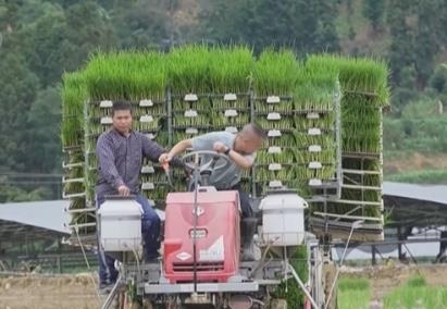 “机械+科技”、稻鸭共养、移动菇房 “智慧”引擎激活乡村振兴新动能