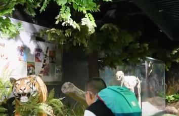 “百兽之王”变身文旅IP 沉浸式体验带火生态游