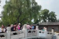 政策红利深度释放激活文旅市场潜力 “China Travel”持续升温解锁多样中国