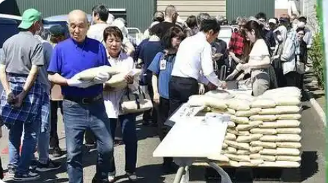 日本多地严重缺水 水稻产区面临“新米危机”
