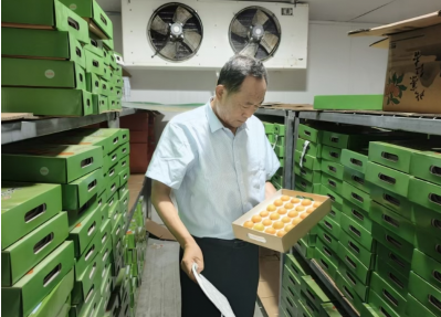 红杏产业 “突围”，解锁乡村振兴密码