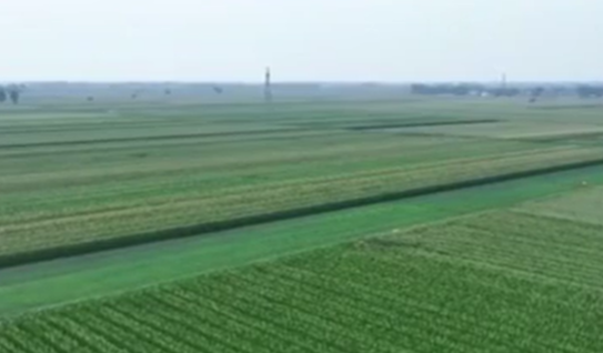 各地加强田管 夯实秋粮稳产基础