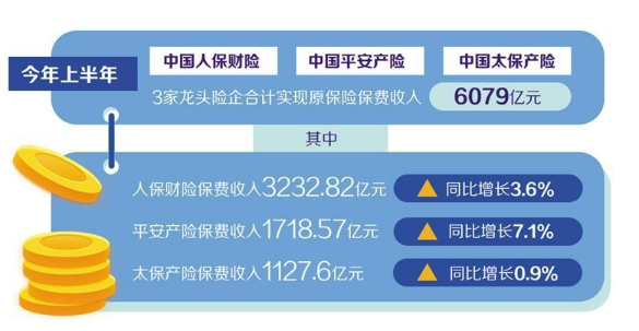 财险业加速构建多元化保障体系